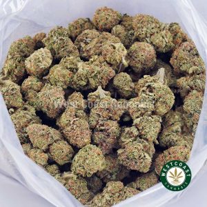 Buy Gummy Bearz AAA wc cannabis weed dispensary & online pot shop Buy Gummy Bearz AAA wc cannabis weed dispensary & online pot shop