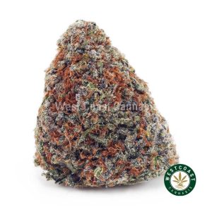 Y353A1 ORANGECOOKIES WCCANNABIS