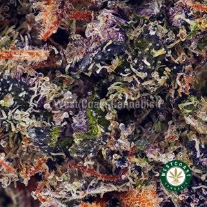 Buy Orange Cookies AAAA wc cannabis weed dispensary & online pot shop