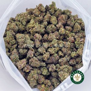 Buy Orange Cookies AAAA wc cannabis weed dispensary & online pot shop