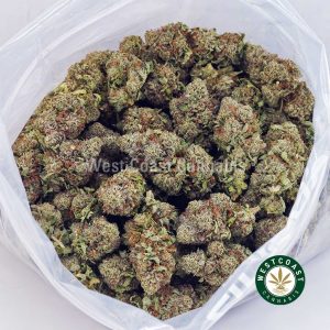 Buy Rainbow Runtz AAA wc cannabis weed dispensary & online pot shop