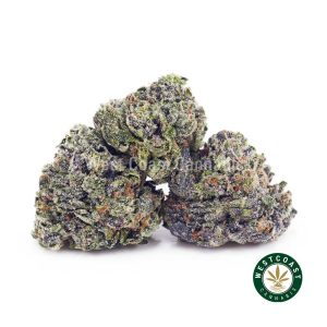 Y416A1 GRAPECRUSHPOPCORN WCCANNABIS