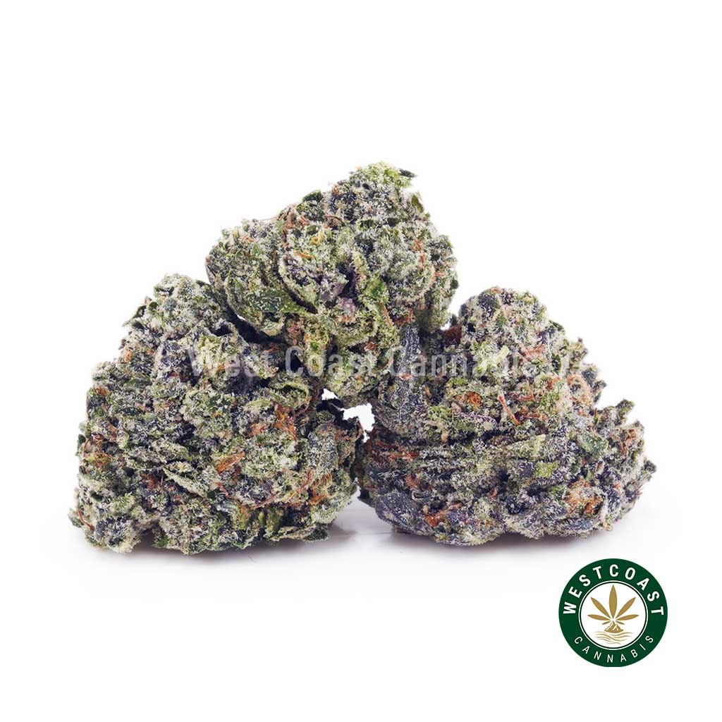Y416A1 GRAPECRUSHPOPCORN WCCANNABIS Y416A1 GRAPECRUSHPOPCORN WCCANNABIS