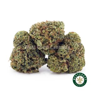 Y417A1 BLACKBERRYKUSHPOPCORN WCCANNABIS