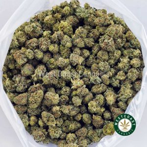 Y417A3 BLACKBERRYKUSHPOPCORN WCCANNABIS Y417A3 BLACKBERRYKUSHPOPCORN WCCANNABIS