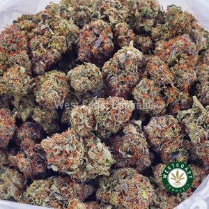 Buy Afghan Kush AA wc cannabis weed dispensary & online pot shop Buy Afghan Kush AA wc cannabis weed dispensary & online pot shop