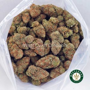 Buy Alice in Wonderland AAAA wc cannabis weed dispensary & online pot shop Buy Alice in Wonderland AAAA wc cannabis weed dispensary & online pot shop