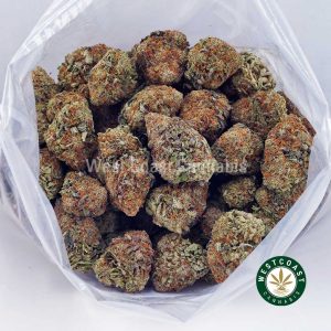 Buy Astroboy AAAA wc cannabis weed dispensary & online pot shop Buy Astroboy AAAA wc cannabis weed dispensary & online pot shop