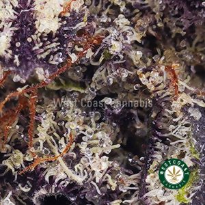 Buy Bermuda Triangle OG AAAA wc cannabis weed dispensary & online pot shop