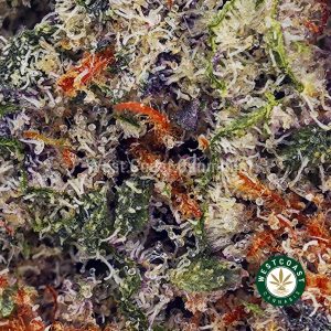 Buy Biscotti AAAA (Popcorn Nugs) wc cannabis weed dispensary & online pot shop
