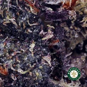 Buy Black Widow AAA wc cannabis weed dispensary & online pot shop