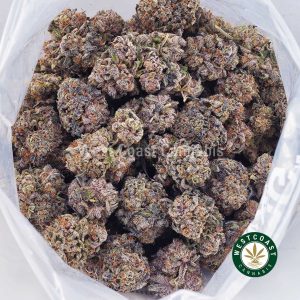 Buy Blackberry Gelato AAAA wc cannabis weed dispensary & online pot shop Buy Blackberry Gelato AAAA wc cannabis weed dispensary & online pot shop