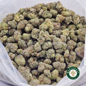 Blueberry Pie AAAA (Popcorn Nugs) 3 Blueberry Pie AAAA (Popcorn Nugs) 3