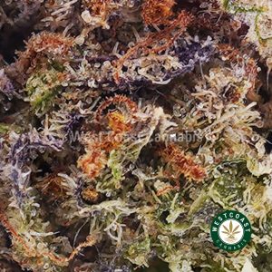 Buy Cali Kush AA wc cannabis weed dispensary & online pot shop