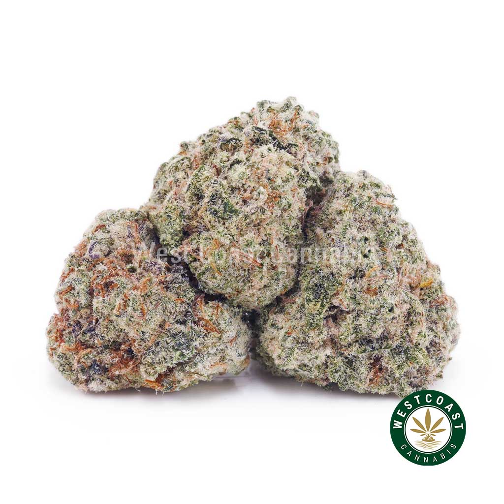 Buy Cookie Dough AAAA (Popcorn Nugs) wc cannabis weed dispensary & online pot shop Buy Cookie Dough AAAA (Popcorn Nugs) wc cannabis weed dispensary & online pot shop