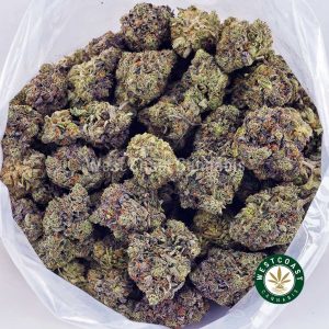 Buy Couch Lock AAAA+ wc cannabis weed dispensary & online pot shop Buy Couch Lock AAAA+ wc cannabis weed dispensary & online pot shop