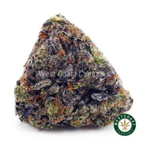 Buy Couch Lock AAAA+ wc cannabis weed dispensary & online pot shop