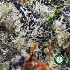 Buy Dank Kush Breath AAAA+ wc cannabis weed dispensary & online pot shop