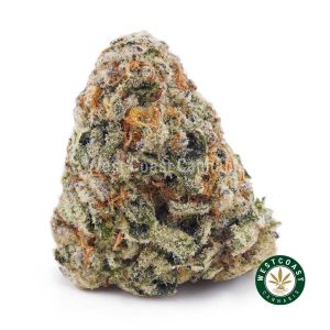 Buy Dolato AA wc cannabis weed dispensary & online pot shop