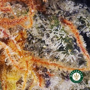 Buy Dolato AA wc cannabis weed dispensary & online pot shop Buy Dolato AA wc cannabis weed dispensary & online pot shop
