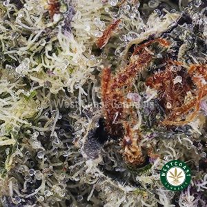 Buy Frosted Flakes AAAA wc cannabis weed dispensary & online pot shop