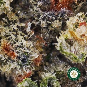 Buy Fruit Punch AAA wc cannabis weed dispensary & online pot shop