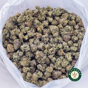 Gelato #33 AAAA (Popcorn Nugs) 3