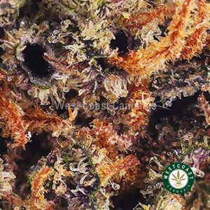 Buy Ghost Train Haze AAAA (Popcorn Nugs) wc cannabis weed dispensary & online pot shop