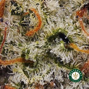 Buy Gorilla Goo AA wc cannabis weed dispensary & online pot shop