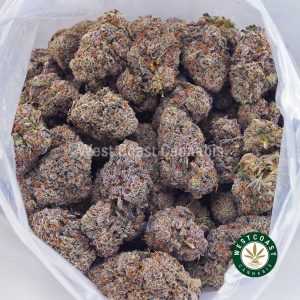 Buy Grape Ape AAAA wc cannabis weed dispensary & online pot shop Buy Grape Ape AAAA wc cannabis weed dispensary & online pot shop