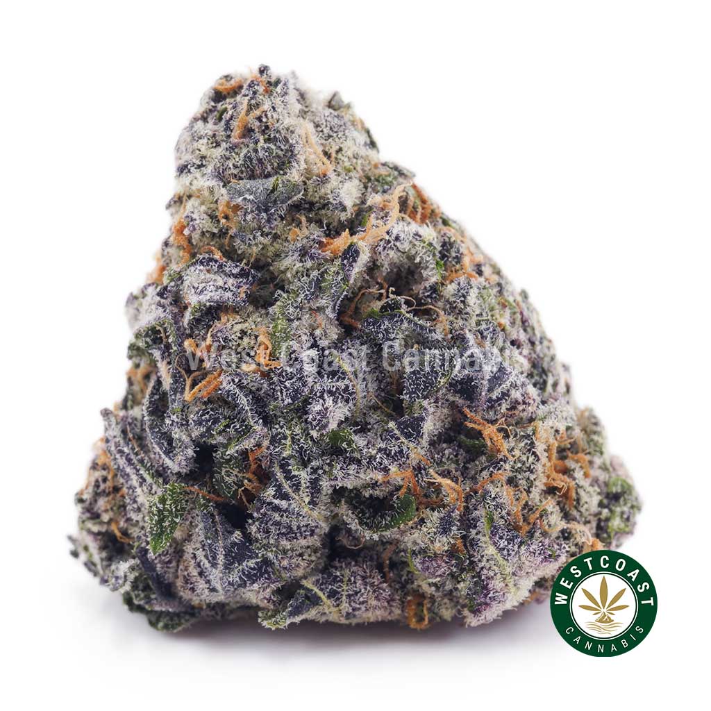 Buy Grape Crush AAA wc cannabis weed dispensary & online pot shop Buy Grape Crush AAA wc cannabis weed dispensary & online pot shop