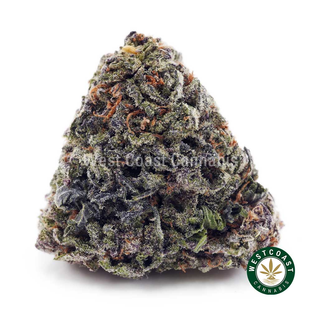 Buy Grease Monkey AAA wc cannabis weed dispensary & online pot shop Buy Grease Monkey AAA wc cannabis weed dispensary & online pot shop