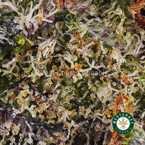 Buy Guava Bomb AA wc cannabis weed dispensary & online pot shop