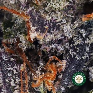 Buy Island Pink Kush AAAA+ wc cannabis weed dispensary & online pot shop