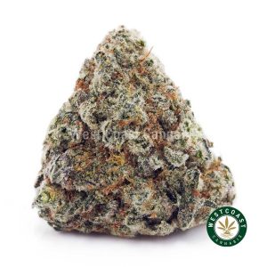 Buy Jack Herer AAA wc cannabis weed dispensary & online pot shop
