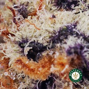 Buy Khalifa Cookies AAAA wc cannabis weed dispensary & online pot shop