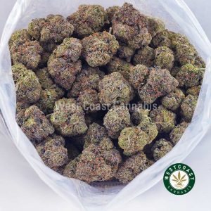Buy King Kong AAAA wc cannabis weed dispensary & online pot shop Buy King Kong AAAA wc cannabis weed dispensary & online pot shop