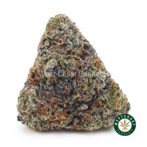 Buy King Kong AAAA wc cannabis weed dispensary & online pot shop