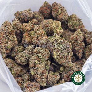 Buy King Louie XIII AAAA wc cannabis weed dispensary & online pot shop Buy King Louie XIII AAAA wc cannabis weed dispensary & online pot shop