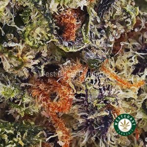 Buy Mango Punch AAAA (Popcorn Nugs) wc cannabis weed dispensary & online pot shop
