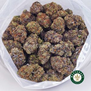 Buy Master Jedi AA wc cannabis weed dispensary & online pot shop Buy Master Jedi AA wc cannabis weed dispensary & online pot shop