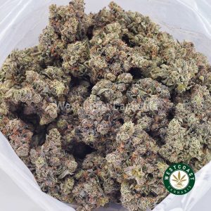 Buy Mike Tyson AAAA+ wc cannabis weed dispensary & online pot shop Buy Mike Tyson AAAA+ wc cannabis weed dispensary & online pot shop