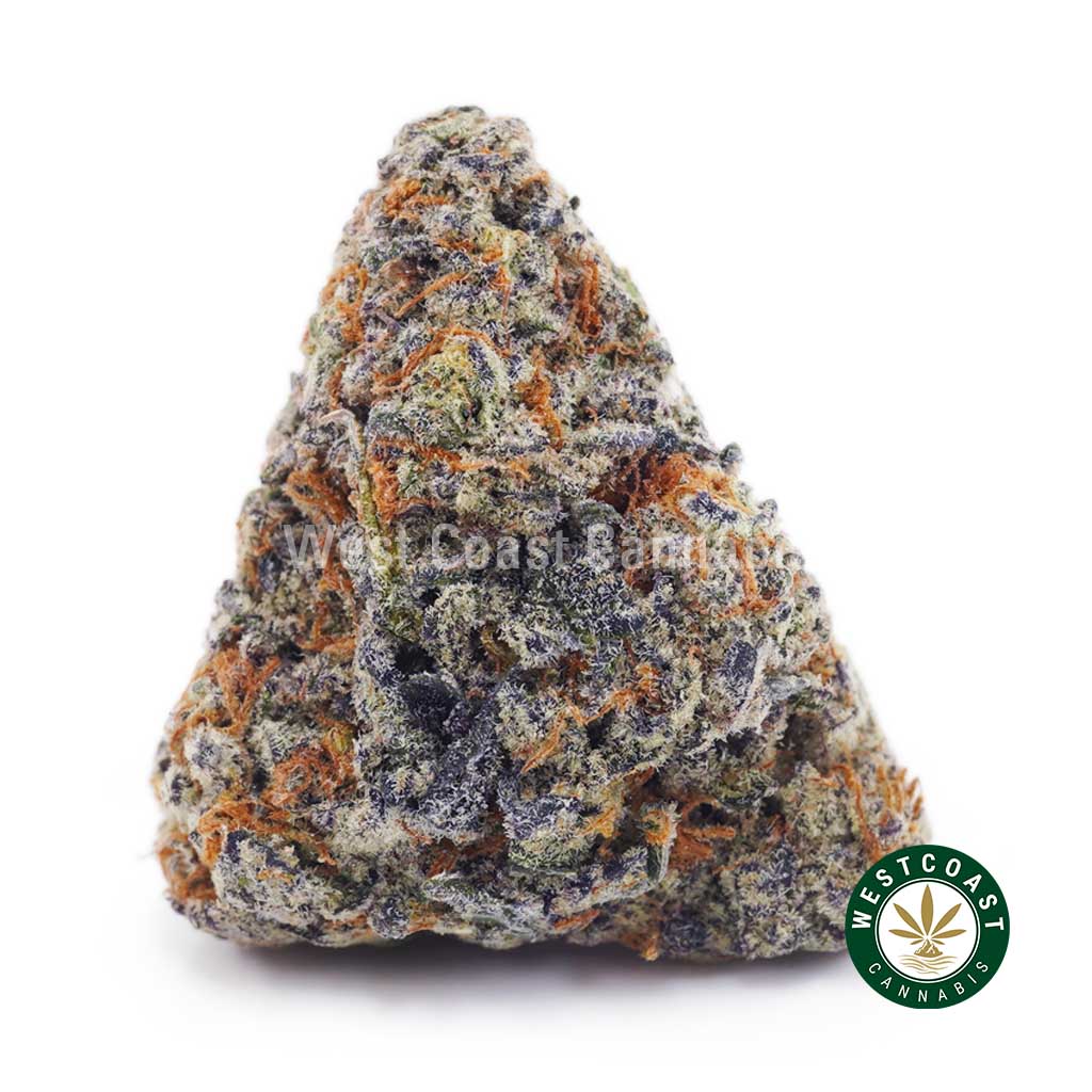 Buy Monster Cookies AA wc cannabis weed dispensary & online pot shop Buy Monster Cookies AA wc cannabis weed dispensary & online pot shop