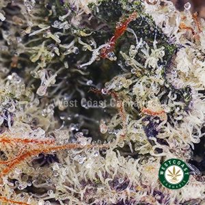 Buy Monster Cookies AA wc cannabis weed dispensary & online pot shop