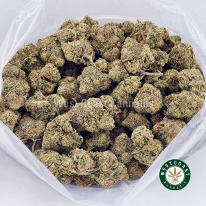 Buy Northern Lights AAA wc cannabis weed dispensary & online pot shop Buy Northern Lights AAA wc cannabis weed dispensary & online pot shop