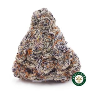 Buy Orange Push Pop AAAA+ wc cannabis weed dispensary & online pot shop