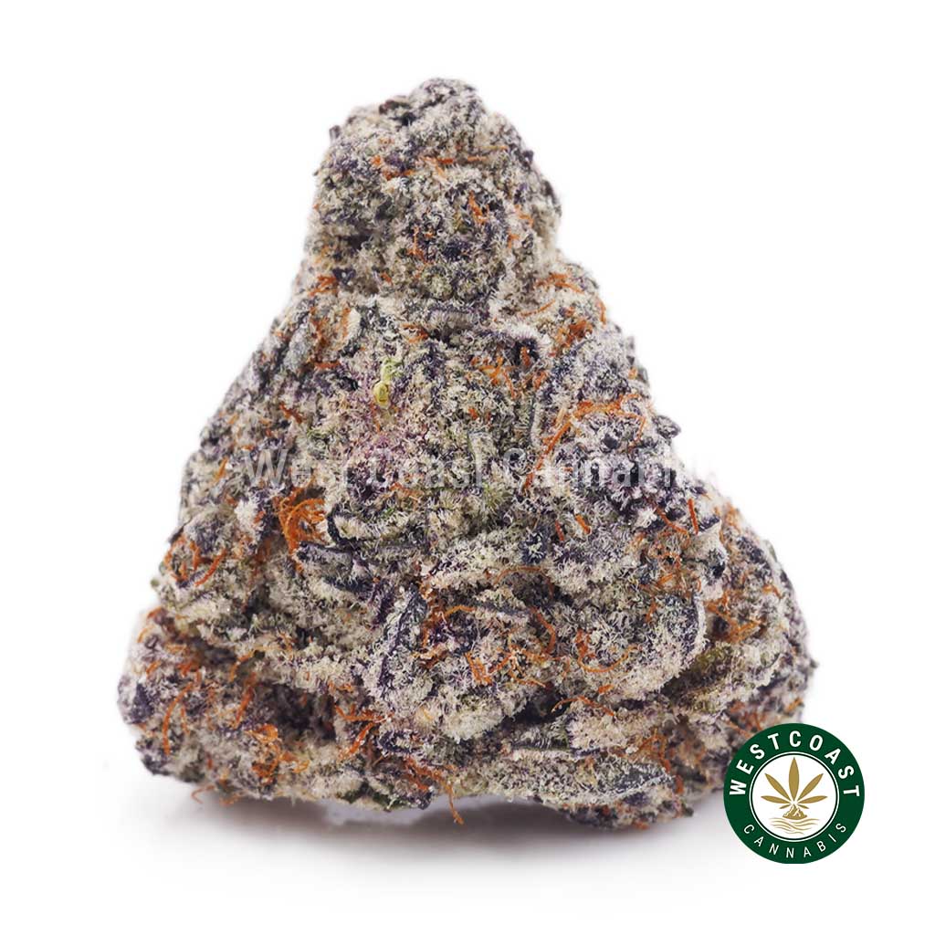 Buy Orange Push Pop AAAA+ wc cannabis weed dispensary & online pot shop Buy Orange Push Pop AAAA+ wc cannabis weed dispensary & online pot shop