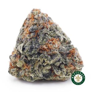 Peaches & Cream AA 1