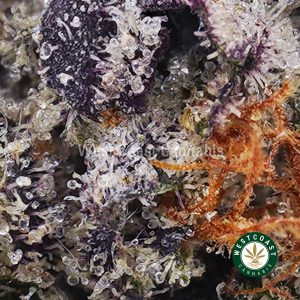 Buy Pink Gas Mask AAAA+ wc cannabis weed dispensary & online pot shop