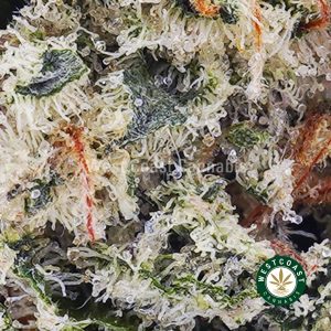 Pink Lemonade AAAA (Popcorn Nugs) 2 Pink Lemonade AAAA (Popcorn Nugs) 2